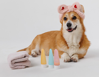 Pets Pamper